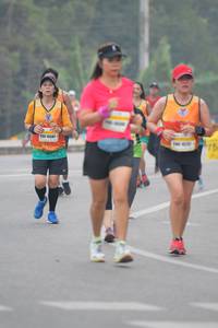 BIB: 15587, 140
                            <button type="button" onclick="openModal(9891302)" class="btn btn-primary btn-sm float-right btn-popup" data-toggle="modal" data-target=".modal-high-quality">
                        <i class="fas fa-shopping-cart"></i> Add to Cart
                    </button>
                                            <button type="button" onclick="isThisMe(9891302, true)" class="btn btn-success btn-sm float-right btn-popup btn-isme hidden" data-toggle="tooltip" data-placement="bottom" title="นี่คือรูปของคุณใช่ไหม คลิกที่นี่เพื่อเอาเข้าอัลบั้ม">
                        <i class="fas fa-plus"></i> Add to album
                    </button>
                    <button type="button" onclick="isThisMe(9891302, false)" class="btn btn-warning btn-sm float-right btn-popup btn-isnotme hidden">
                        <i class="fas fa-ban"></i> Remove from album
                    </button>